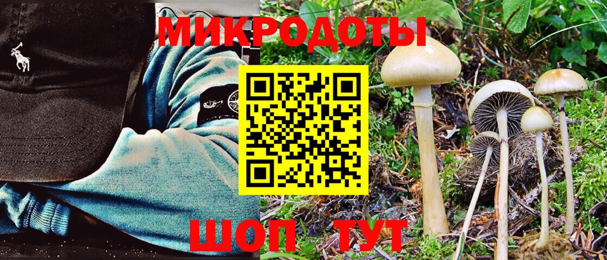 Чусовой  Галлюциногенные грибы мухоморы  Галлюциногенные грибы мухоморы  Вход с VPN 